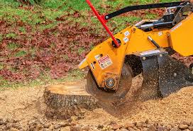 Best Lawn Irrigation Installation and Maintenance  in Marcus, IA
